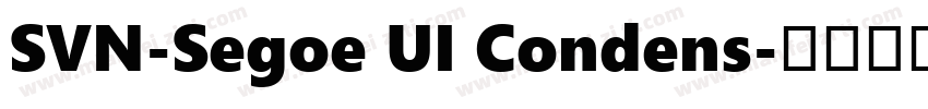 SVN-Segoe UI Condens字体转换